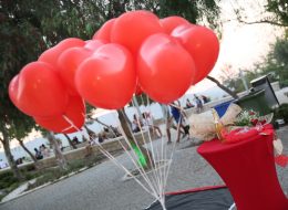 İzmir Çeşme Evlenme Teklifi Organizasyonu Uçan Balon Süsleme İzmir Organizasyon