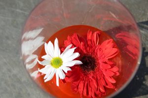 Doğum Gününde Helikopterde Evlenme Teklifi Organizasyonu Fanus ve Çiçek Süsleme İzmir Organizasyon